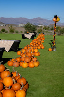 Radiance at Superstition 24-Oct-25
