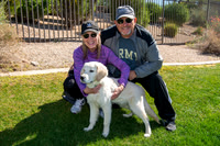 MB Woof Stock 19-Feb-22